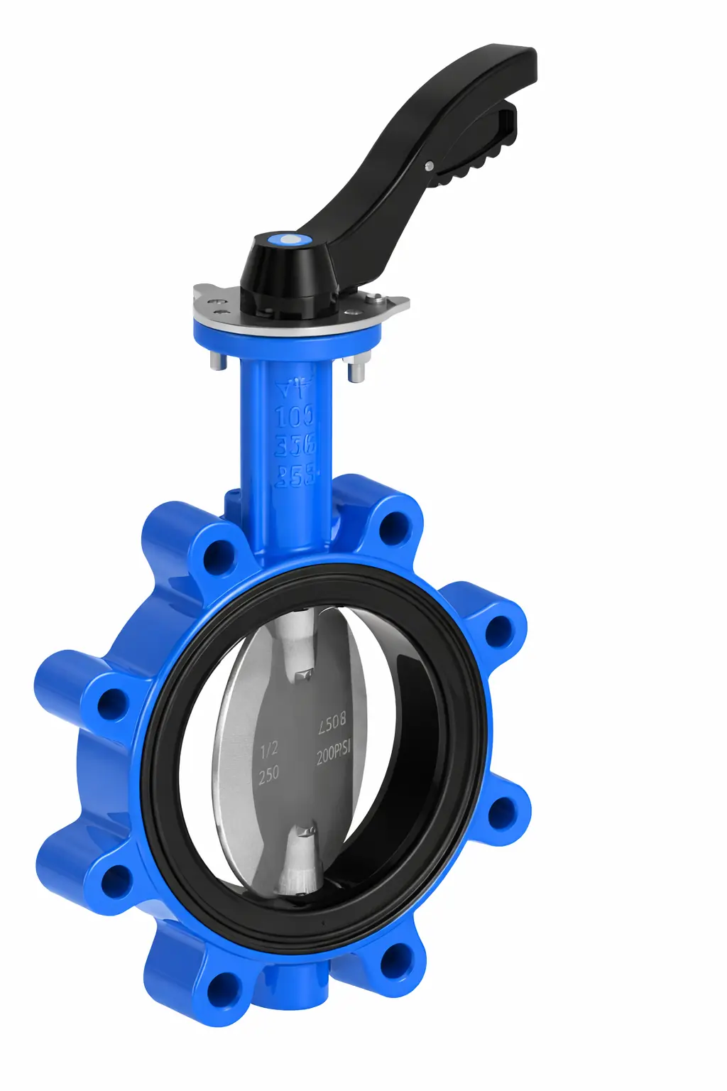 Borboleta Lug Concêntrica