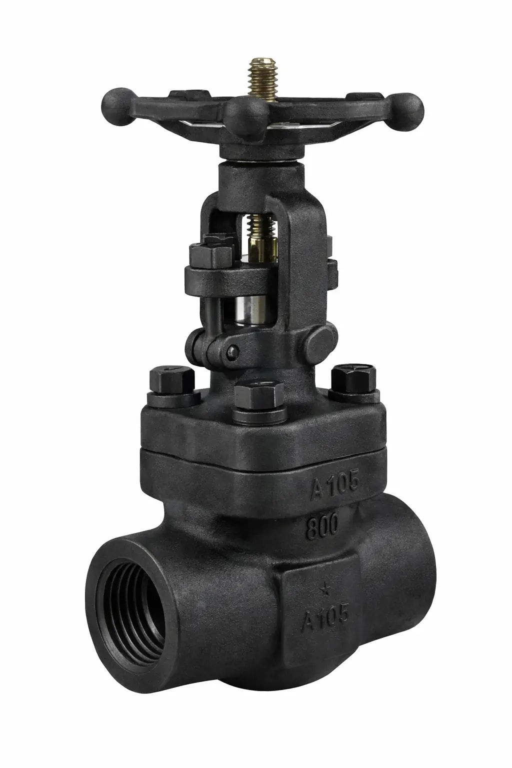 Válvula Gaveta Aço Forjado